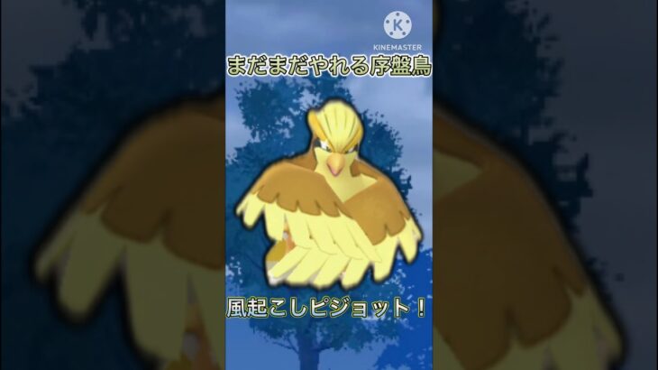 【ポケモンGO】まだまだやれる初代序盤鳥！つばさでうつが弱体化されてもこいつはまだ耐える！(スーパーリーグ)#ポケモンgo #goバトルリーグ #shorts