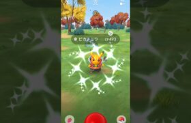 【ポケモンGO】色違いハードロックピカチュウキターー‼️#ポケモンgo #pokemongo #色違い