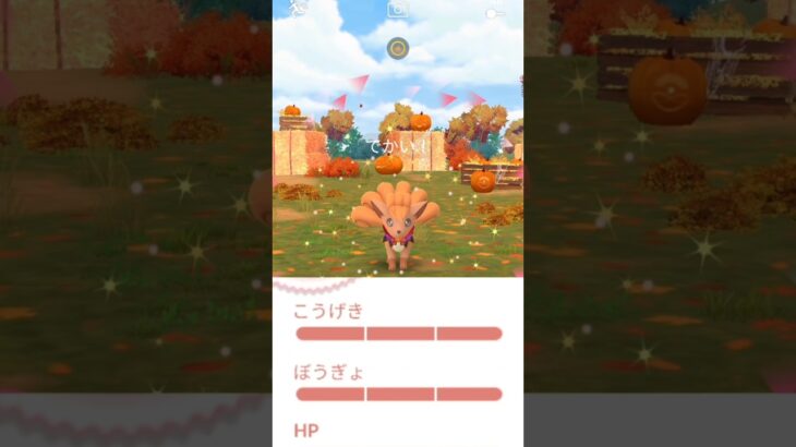 【ポケモンGO】ハロウィン🎃有料タイムチャレンジの結果‼️‼️#ポケモンgo #pokemongo#色違い