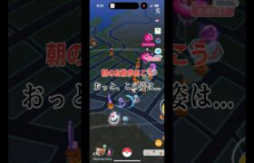 [ポケモンGO]朝のお散歩おこうでガラルフリーザー降臨‼️色違い出るか⁉️#ポケモンgo #shorts