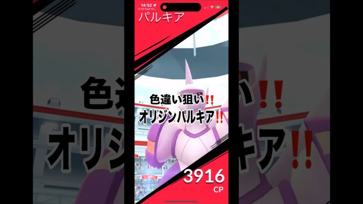 [ポケモンGO]オリジンパルキア色違い狙い‼️#ポケモンgo #shorts