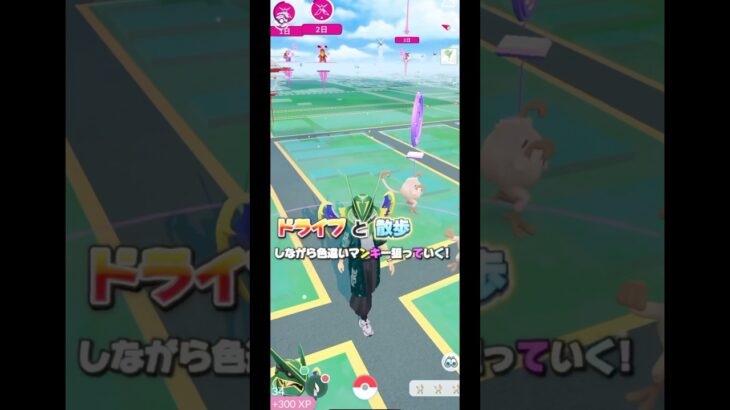 マンキーのコミュデイで色違い狙っていくぅぅ!【ポケモンGO】#ポケモンgo #ポケモン #shorts #pokemon #pokemongo #マンキー #ポケポケ #ポケモンカード