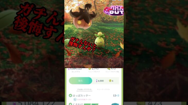 【ポケモンGO】ガチらないと後悔！？オリーヴァが強すぎる！#shorts