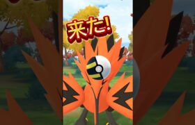 【ポケモンGO】vsガラルサンダー【ブルックGO】#shorts #ポケモンgoガラル3鳥色違い #ブルックGO #過去動画