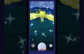 New REGIELEKI Shiny #pokemon #pokemongo #pokémon #shiny #shinypokemon #ポケモン #regieleki #gaming