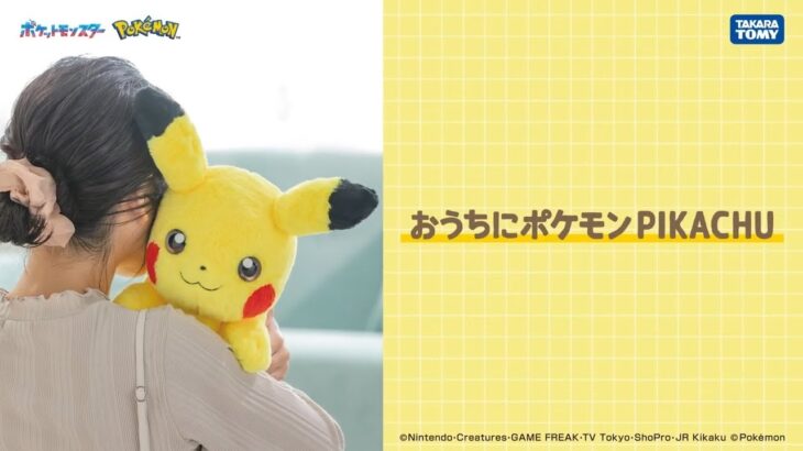 【おうちにポケモン】 ピカチュウがあなたのおうちに…！【PIKACHU】