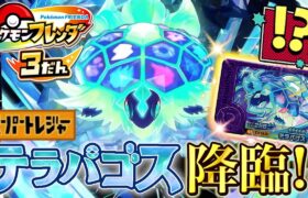 伝説ポケモン”テラパゴス”がタッグバトルで登場！？まだ捕まえてないSTゲットするまで遊んでみた！！www【ポケモン フレンダ】