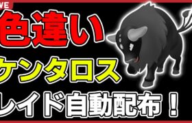 【今日だけ】色違いケンタロスレイド自動配布！【ポケモンSV】#1