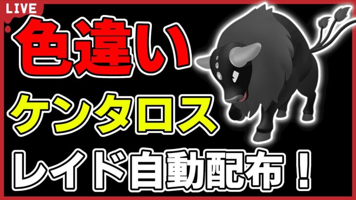 【今日だけ】色違いケンタロスレイド自動配布！【ポケモンSV】#1