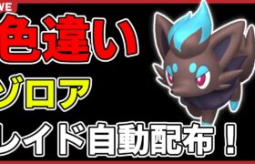 【ワンパン最速】色違いゾロアレイド自動配布！【ポケモンSV】#1