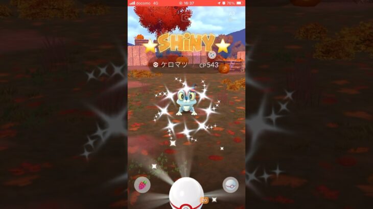 ハロウィンケロマツ色違い！ #gbl #pokemongo #ポケモンgoバトルリーグ #ポケモン #goバトルリーグ #ポケモンsv #ポケモンgo #ポケgo #gbl_gurbani #ゲーム