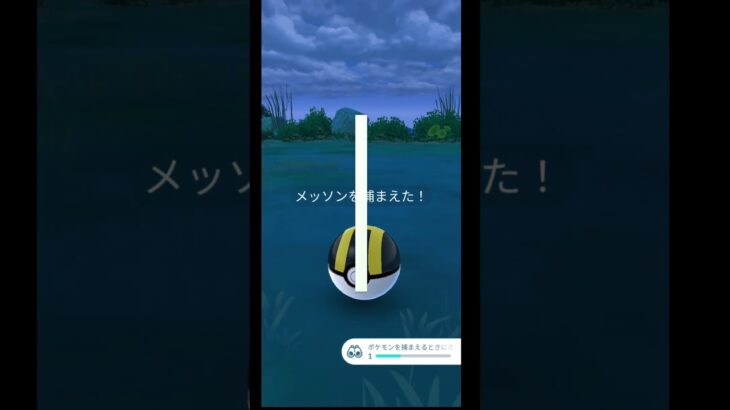 海の上でおさんぽおこう　二日目#ポケモンgo #おさんぽおこう #ガラル三鳥 #色違い