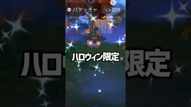 ハロウィンバケッチャ色違いきたー！ #ポケモンgo