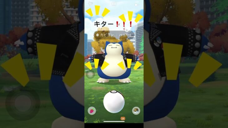 【ポケモンgo】スタッツカビゴン討伐　ロックな革ジャンカビゴンの色違いを求めて