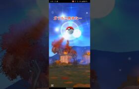 ガラル三鳥きた #ポケモンgo