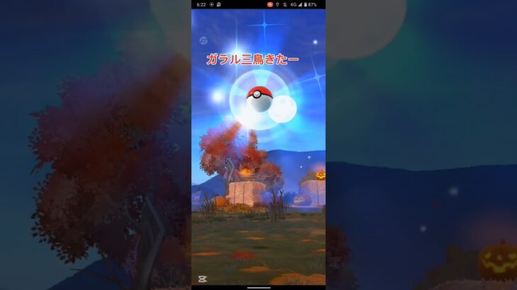 ガラル三鳥きた #ポケモンgo