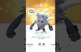 【最近のキラポケモン】 #ポケモン #ポケモンgo #キラポケモン #luckypokemon #pokemongo