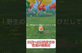 これが無課金勢の意地じゃ#ポケモンgo #pokemon