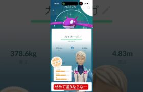 【ワイルドエリア】色違い背景付きカイオーガキタよ！#ポケモンgo #ポケモン #pokemon