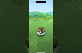 【ポケモンgo】ワイルドエリア野生色違いマッギョ #pokemon #ポケモン #ポケモンgo