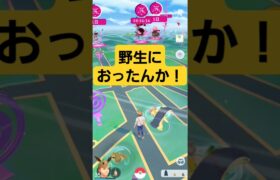 ほぇー知らんかった#ポケモン #ポケモンgo #pokemon #pokemongo #バクフーン #野生#珍しい #アイテム  #はいよろこんで #メビシガくん #笑える #おもしろ #逃げる #