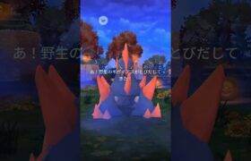 野生🌿ギガイアスの鳴き声⚡️#pokemongo #Pokemon#Pokémon#ポケモンgo #ギガイアス#進化形#レアポケモン#野生#鳴き声#アプリゲーム