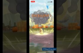 【反則級！？】モルペコの超火力！！#pokemongo #pokemon #ポケモン #ポケモンgo #shortvideo #shorts #gbl #pvp #ハロウィン #halloween