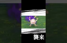 シャドウマンキーの高個体ゲット‼️🔥#shorts #ポケモン #ポケモンgo