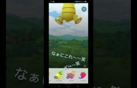 コミュニティデイ:マンキー#shots #ポケモンgo #pokemongo #pokemon