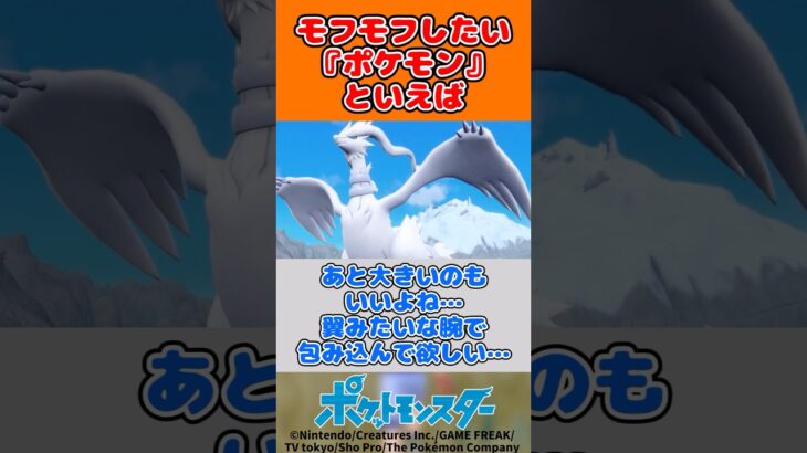 【ポケモン】モフモフしたい『ポケモン』といえば #ポケモン #ポケモン反応集  #ポケモンsv #ポケモンz-a #ポケカ #ポケポケ #pokemon #shorts