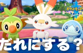 最初からやるぞ、ポケモンソード｜ポケットモンスターソード