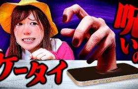 こわいよ〜＞＜ お化けにイタズラされてスマホに閉じ込められた！お家に帰れない!?小学生と幼稚園児で協力してオバケを倒そう！【寸劇】