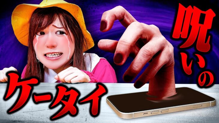 こわいよ〜＞＜ お化けにイタズラされてスマホに閉じ込められた！お家に帰れない!?小学生と幼稚園児で協力してオバケを倒そう！【寸劇】