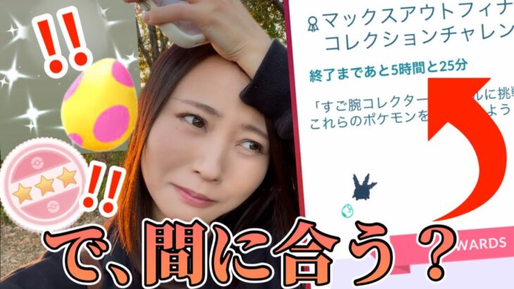 色違いも個体値100も来るんだよ！！けど…コレチャレ間に合わなきゃ意味ないんよ！！！【ポケモンGO】