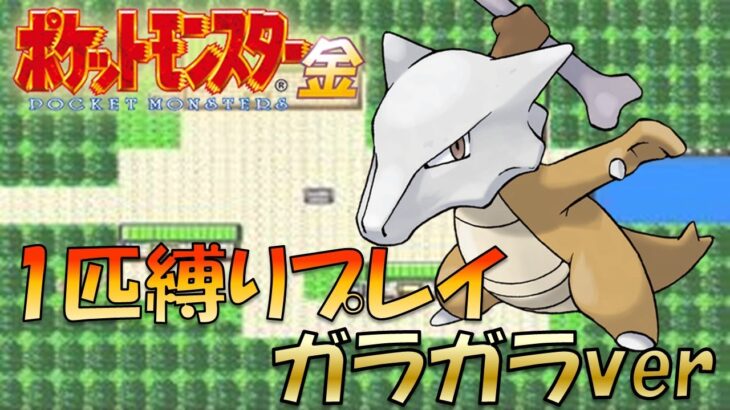 【ポケモン金銀】ふといほねを持たせたガラガラの技を強化すればジョウトを蹂躙できるのでは!?ポケモン1匹縛りプレイガラガラver【ゲーム実況】【縛りプレイ】