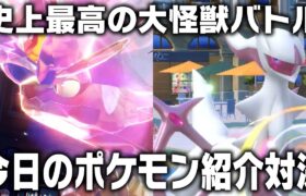 【今日ポケ対戦】”５年分のポケソル動画”で紹介したポケモンだけでバトル！約2000回の歴史がここに集結‼️