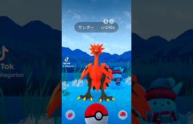 2024.12.20ポケモンGOガラルサンダーに出会えたよ。#ポケモンgo #ガラルサンダー#ポケモン