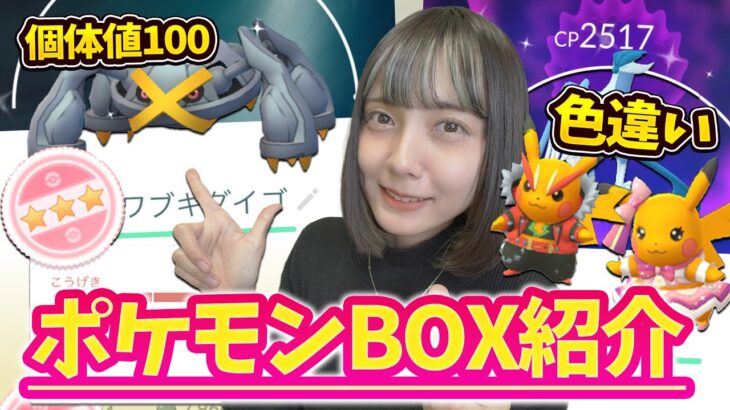 2024年もそろそろ終了！今年ゲット色違いと個体値100をBOX紹介！【ポケモンGO】