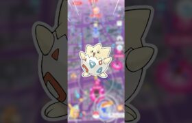 強いトゲピー狙って、2KMタマゴ45連続！【ポケモンGO】