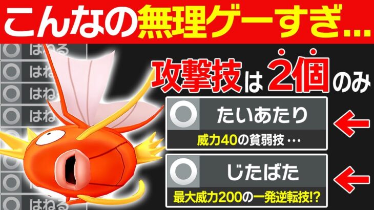 【抽選パ】覚える技が3個しかないコイキングを対戦で活躍させるのが無理ゲーすぎる。。。 #145-2【ポケモンSV/ポケモンスカーレットバイオレット】