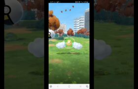 仕事で30分しか出来ず🥲　ポケモンGO　昇龍リサーチデイ　2024/12/07　　　色違い4  個体値100が1体でした