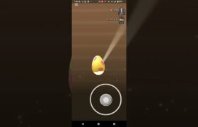 7キロたまご8連【ポケモンGO】