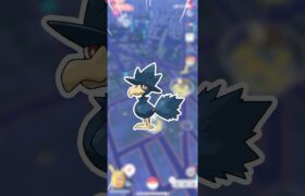 7KMタマゴで、大当たり引いちゃった！【ポケモンGO】