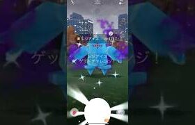 【ポケモンGO】 シャドウレジアイス（色違い） 捕獲動画！！