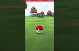 ポケモンGOで、コリンクの色違い✨が出た   やったーー嬉しい