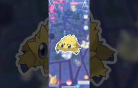 推しポケモンが、スポライで来てくれました!!【ポケモンGO】