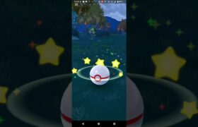 色違いザマゼンタ捕獲【ポケモンGO】