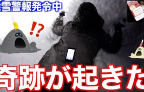 大雪のスナバァ色違い実装！色違い出るまで帰れま１０【ポケモンGO】