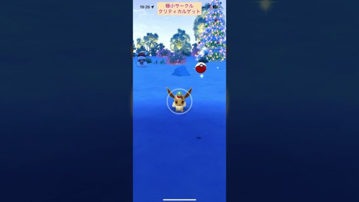 【難易度中】ホリデーイーブイ極小サークルクリティカルゲット【ポケモンGO】