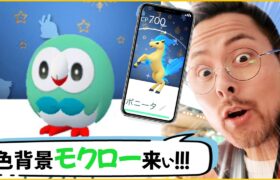 スペシャル背景モクロー達よ！！頼むから色違いでこいこいこいこい！！！！！！【ポケモンGO】